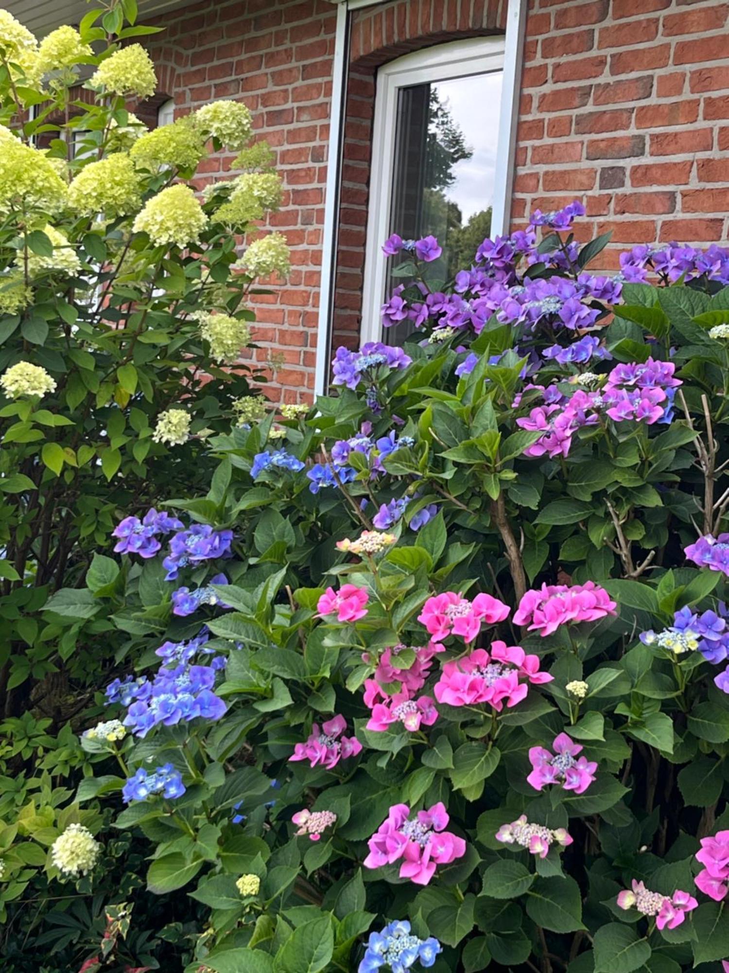 Gartenzimmer Zwischen Den Meeren Ladelund 외부 사진